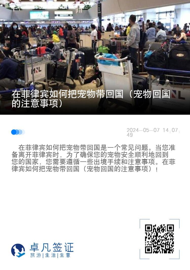 在菲律宾如何把宠物带回国（宠物回国的注意事项）