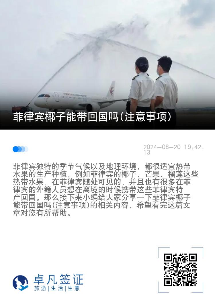 菲律宾椰子能带回国吗(注意事项)